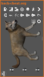 Wolf Pose Tool 3D screenshot