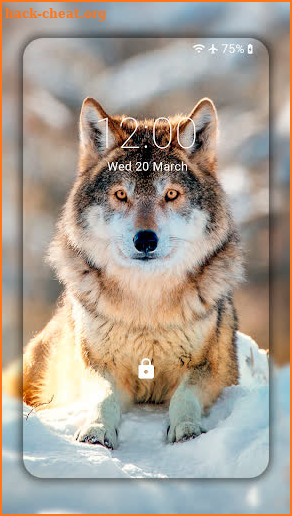 Wolf Wallpaper HD : backgrounds & themes screenshot
