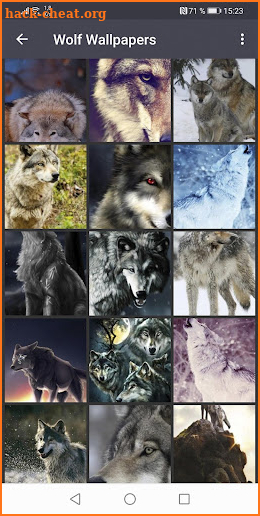 Wolf Wallpapers screenshot