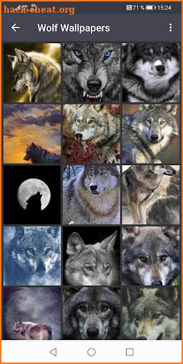 Wolf Wallpapers screenshot
