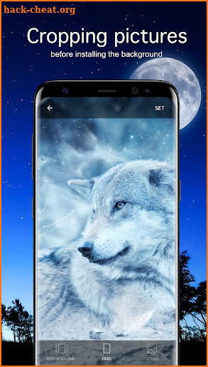 Wolf Wallpapers 4K screenshot