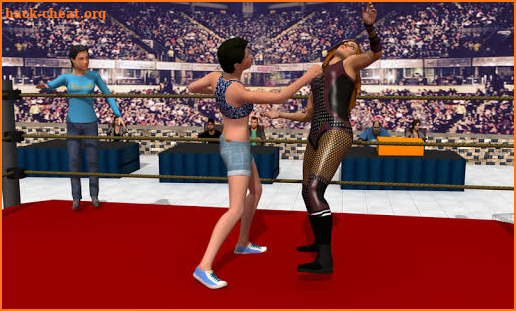 Women Tag Team Wrestling screenshot
