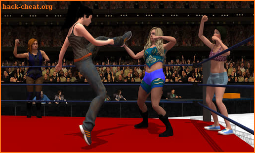 Women Tag Team Wrestling screenshot