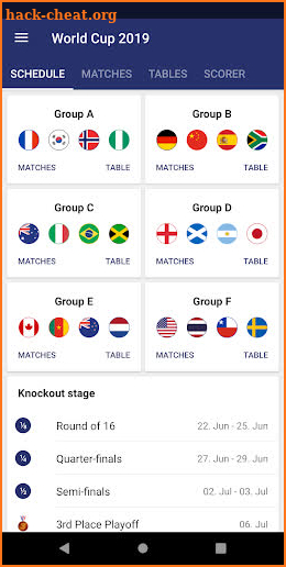 Women’s World Cup Live Score App 2019 screenshot