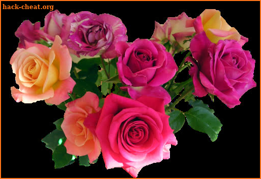 Wonderful Flowers Roses images Gif screenshot