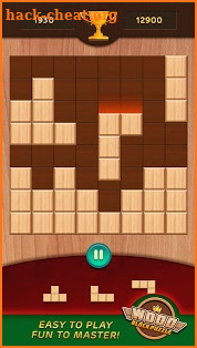 Wood Block Puzzle 1010 screenshot