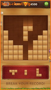 Wood Block Puzzle Classic screenshot