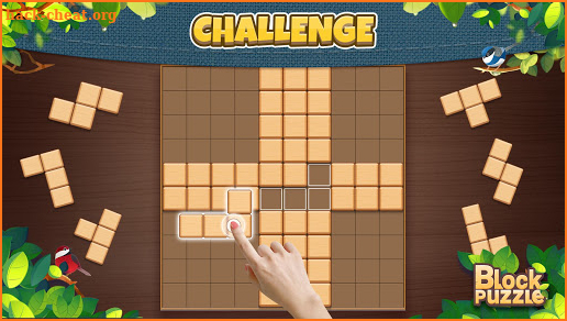 Wood Block Puzzle: Classic wood block puzzle games screenshot