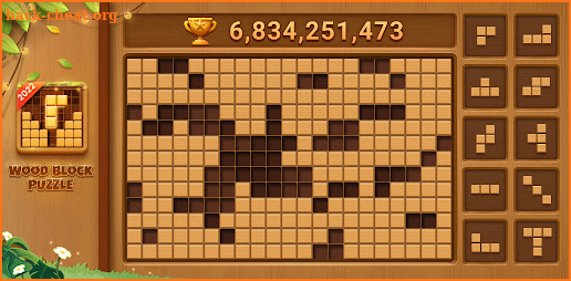 Wood Block Puzzle-SudokuJigsaw screenshot