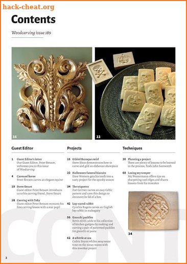 Woodcarving Magazine screenshot