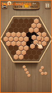 Wooden Hexagon Fit: Hexa Block Puzzle screenshot