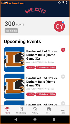 Worcester Red Sox Booster Club screenshot