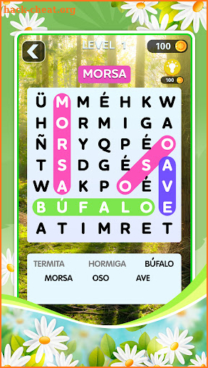 Word Search Spanish Puzzle screenshot