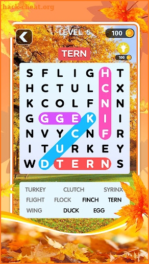 Word Search Spanish Puzzle screenshot