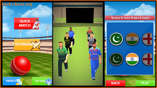 World Cup Cricket Championship screenshot