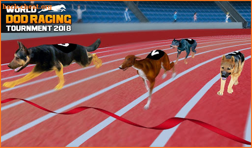 World Dog Racing Tournament 2018: Crazy Dog Race screenshot