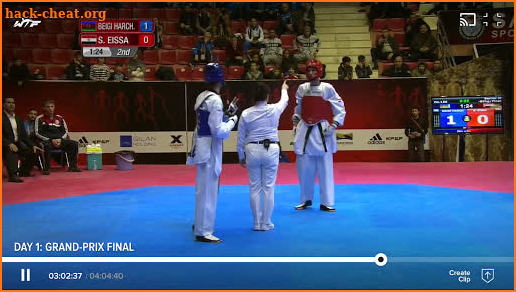World Taekwondo screenshot