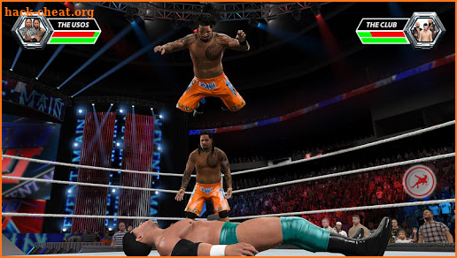 World Tag Team Wrestling Stars revolution Fight screenshot