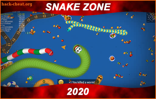 Worm Snake Zone : snake worm mate zone screenshot