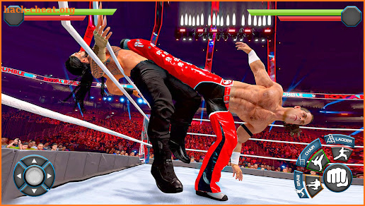 Wrestling Fighting Game 3D screenshot