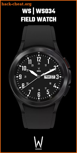 WS034 – FIELD Watch Face screenshot