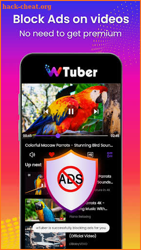 wTuber-Video Player all format screenshot