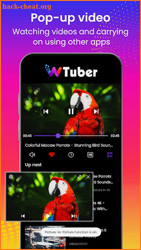 wTuber-Video Player all format screenshot