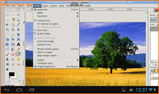 XGimp Image Editor screenshot