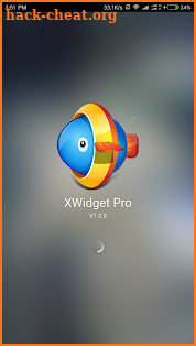 XWidget Pro screenshot