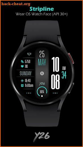 Y26 Stripline Watch Face screenshot