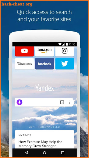 Yandex Browser with Protect screenshot