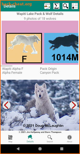 Yellowstone Wolves 2021 screenshot