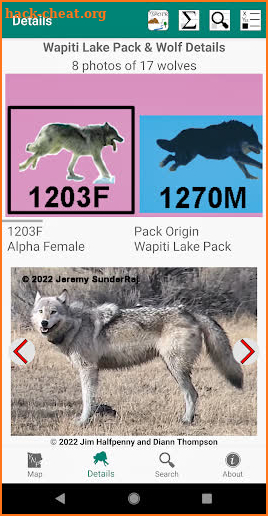 Yellowstone Wolves 2022 screenshot