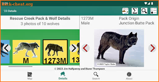 Yellowstone Wolves 2023 screenshot