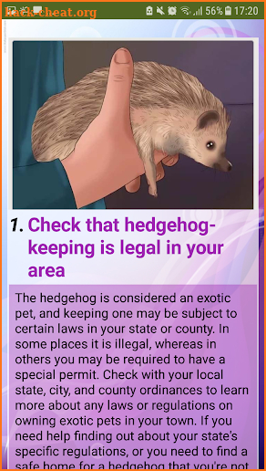 Your Hedgehog screenshot