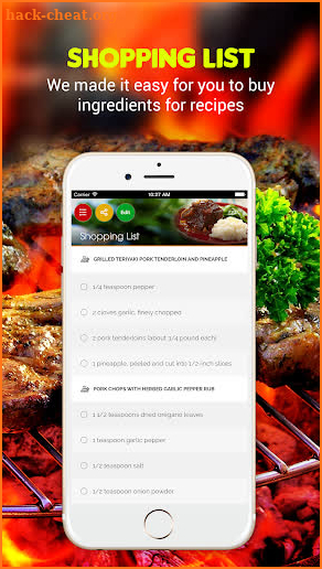 Yummy Grill Recipes Pro screenshot