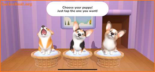 ZenCorgi: Puppy Pet Dog Games screenshot