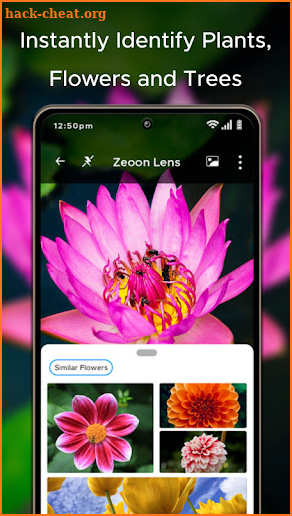 Zeoon Lens : Search Anything screenshot