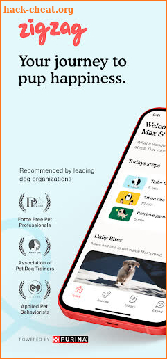 Zigzag Puppy Training App screenshot