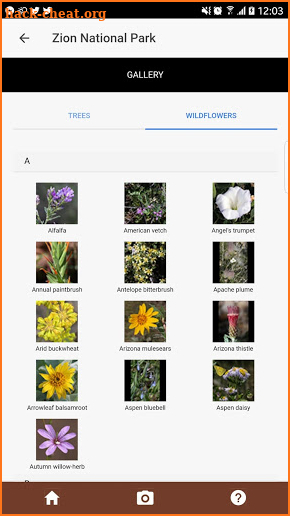 Zion Park Wildflowers screenshot