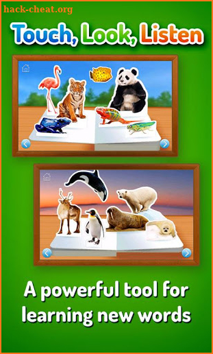 Zoo Animals screenshot