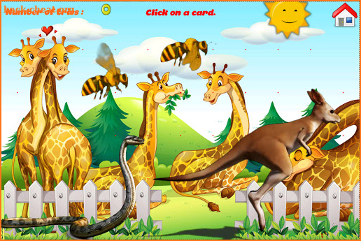 Zoo Cards KN Channel screenshot