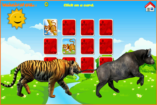 Zoo Cards KN Channel screenshot
