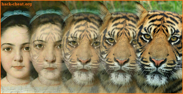 Zooface - GIF Animal Morph screenshot