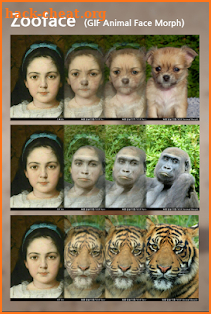 Zooface - GIF Animal Morph screenshot
