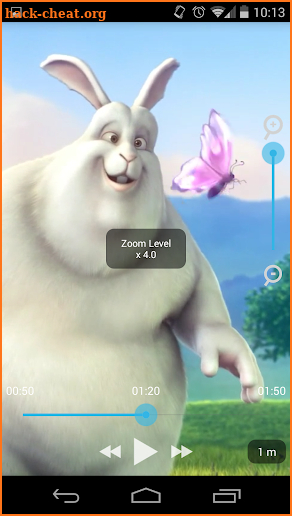 Zoom Player screenshot