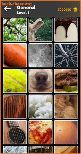 Zoom Quiz: Close Up Picture Game, Guess the Word screenshot