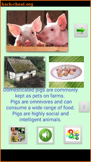 Zoopedia: animal quiz with beautiful animal photos screenshot