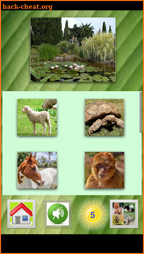Zoopedia: animal quiz with beautiful animal photos screenshot