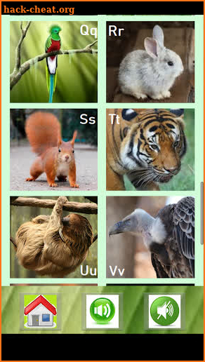 ZOOPEDIA full: Guess the animal👀 4 animal quizzes screenshot